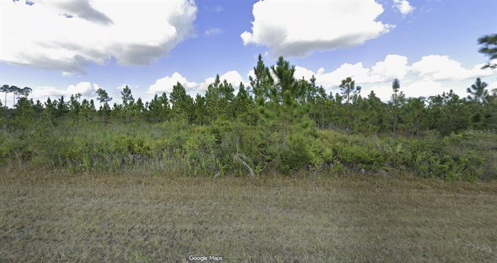 A grassy field leads to a dense line of pine trees under a cloudy sky — 1022 CALLIANDRA DRIVE, INDIAN LAKE ESTATES, FL