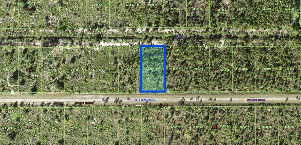 An aerial map view shows a rectangular plot of land highlighted in blue along Calliandra Drive — 1022 CALLIANDRA DRIVE, INDIAN LAKE ESTATES, FL