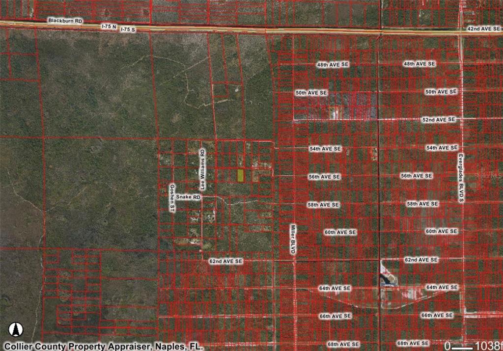 This is a map showing property parcel lines and road names in a rural area — 56TH AVE SE, NAPLES, FL