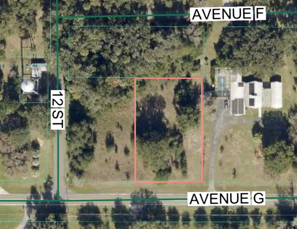 AVENUE G