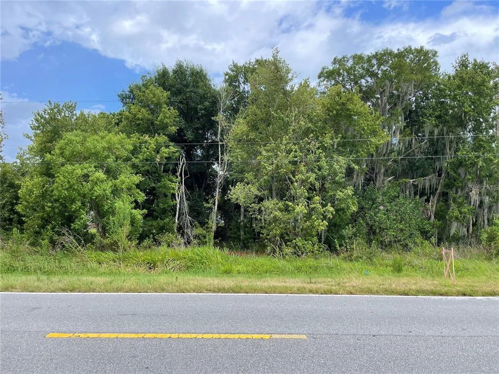 A view of a wooded lot from the side of a paved road — E LAKE SHORE BOULEVARD, KISSIMMEE, FL