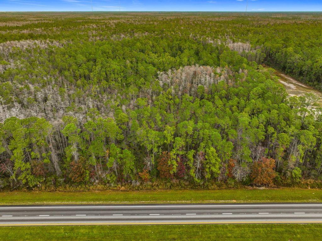 An aerial view shows a dense forest bordering a paved highway — 20617 E COLONIAL DRIVE, CHRISTMAS, FL