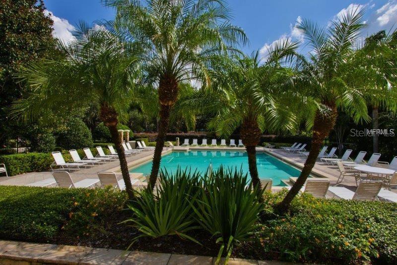 A swimming pool surrounded by lounge chairs and palm trees in a landscaped outdoor area — 6214 STEVENSON DRIVE UNIT 201, ORLANDO, FL