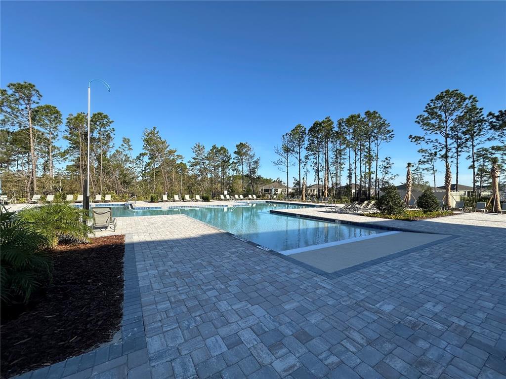 A paved pool deck surrounds a rectangular swimming pool lined with lounge chairs and trees — 3272 ARCH AVENUE, ORMOND BEACH, FL