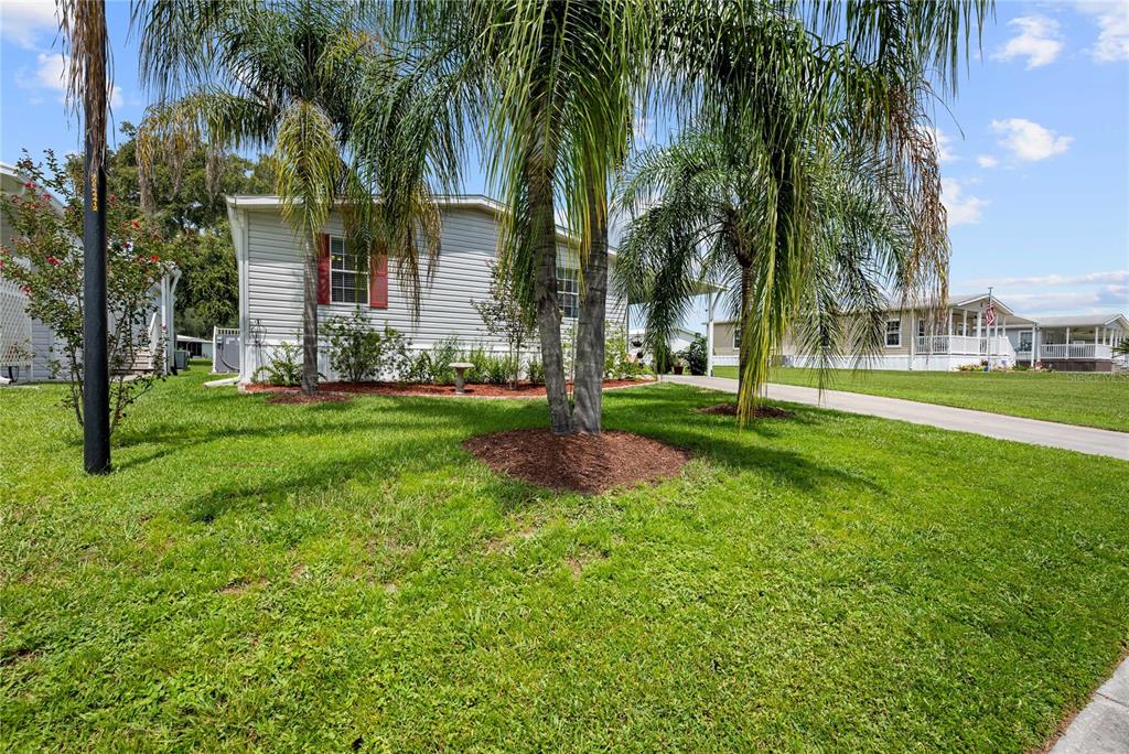 A single-story manufactured home with light siding, red shutters, and palm trees in the front yard — 38417 MONET DRIVE, ZEPHYRHILLS, FL