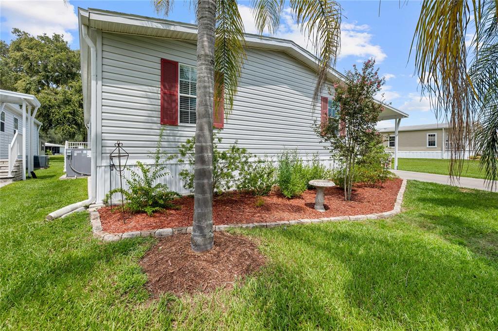 The exterior of a light-colored mobile home features red shutters, a palm tree, and landscaping — 38417 MONET DRIVE, ZEPHYRHILLS, FL