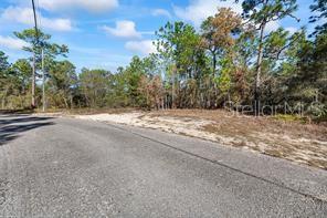 8941 N FARRINGTON DRIVE, CITRUS SPRINGS, FL — photo 4 of 7