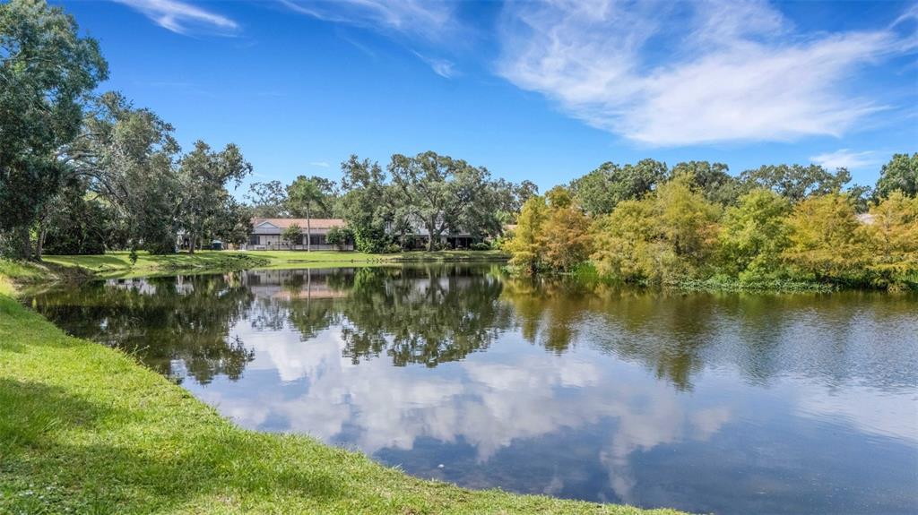 A calm pond reflects the surrounding trees and blue sky in a residential backyard setting — 3476 SHADY BROOK LANE, SARASOTA, FL