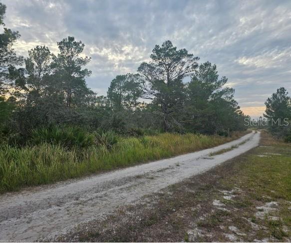 A dirt road runs alongside a wooded area with tall pine trees and tall grass — 2225 ALGONQUIN DRIVE, SEBRING, FL