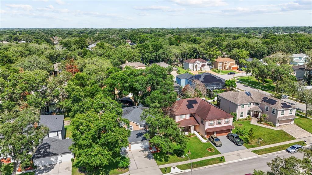 An aerial view shows several suburban houses with driveways and trees in a residential neighborhood — 2247 MOUNTAIN SPRUCE STREET, OCOEE, FL