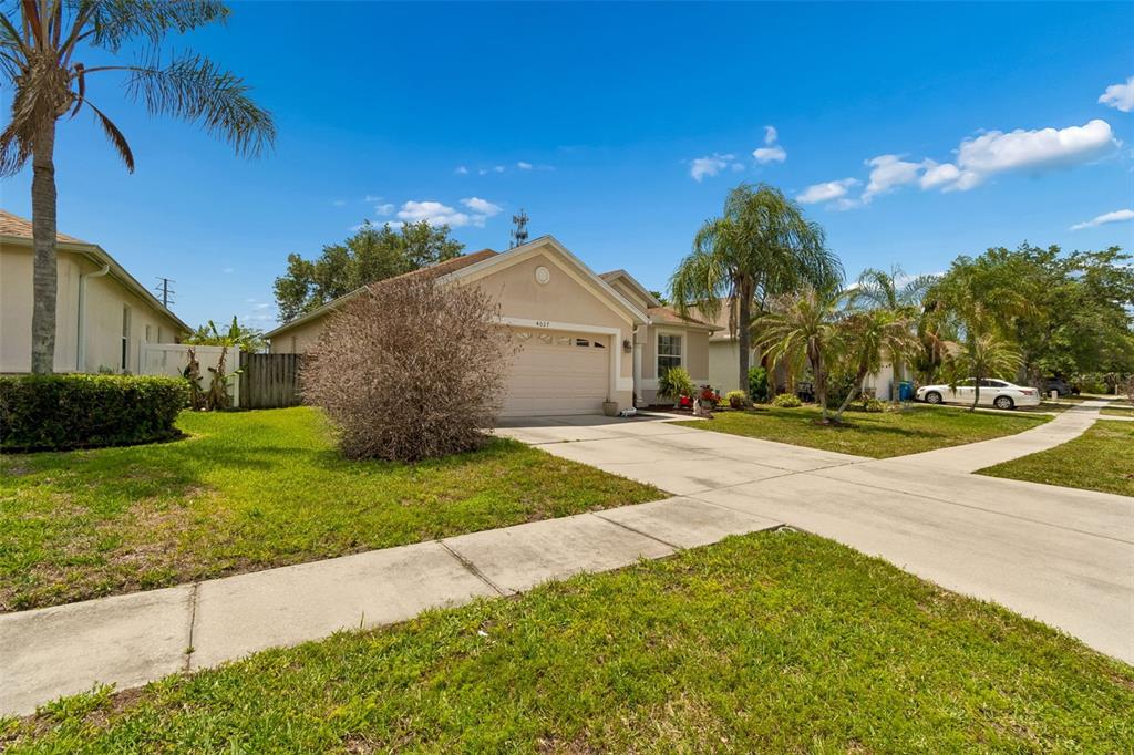 A single-story suburban house with a beige exterior, a two-car garage, and a palm tree — 4027 LANGDRUM DRIVE, WESLEY CHAPEL, FL