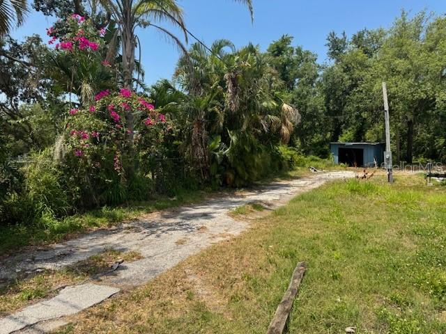 A paved driveway leads toward a small shed surrounded by trees and flowering bushes — 10709 E BAY ROAD, GIBSONTON, FL