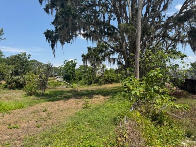 A grassy, undeveloped lot features large oak trees draped with Spanish moss under a blue sky — 10709 E BAY ROAD, GIBSONTON, FL