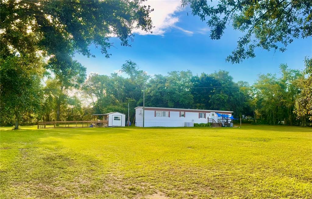 A white mobile home sits on a grassy lot with a small pond and horse — 6250 SE 150TH AVENUE, MORRISTON, FL