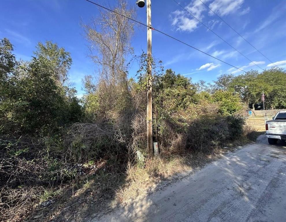 A utility pole stands amidst overgrown vegetation next to a dirt road — 0 SE 141ST PLACE, UMATILLA, FL