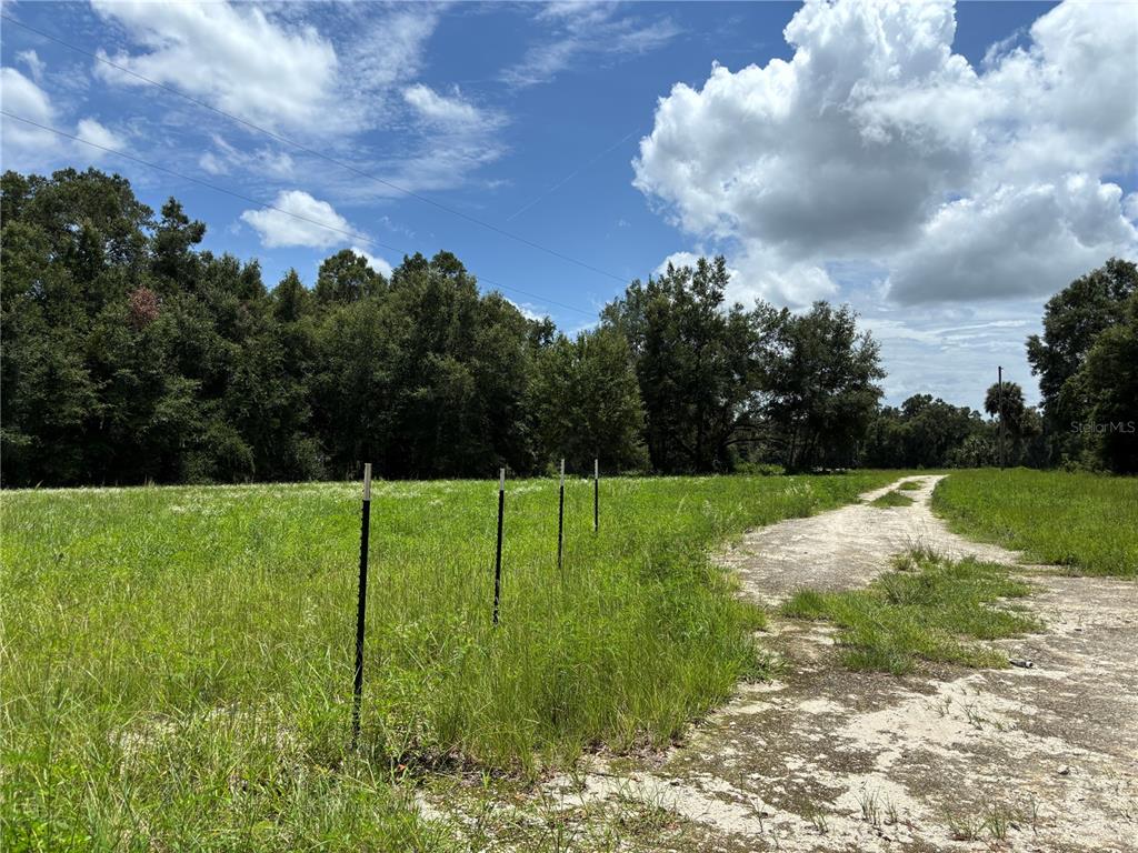 A grassy, undeveloped lot features a dirt path and a line of metal fence posts — NE 23, CITRA, FL