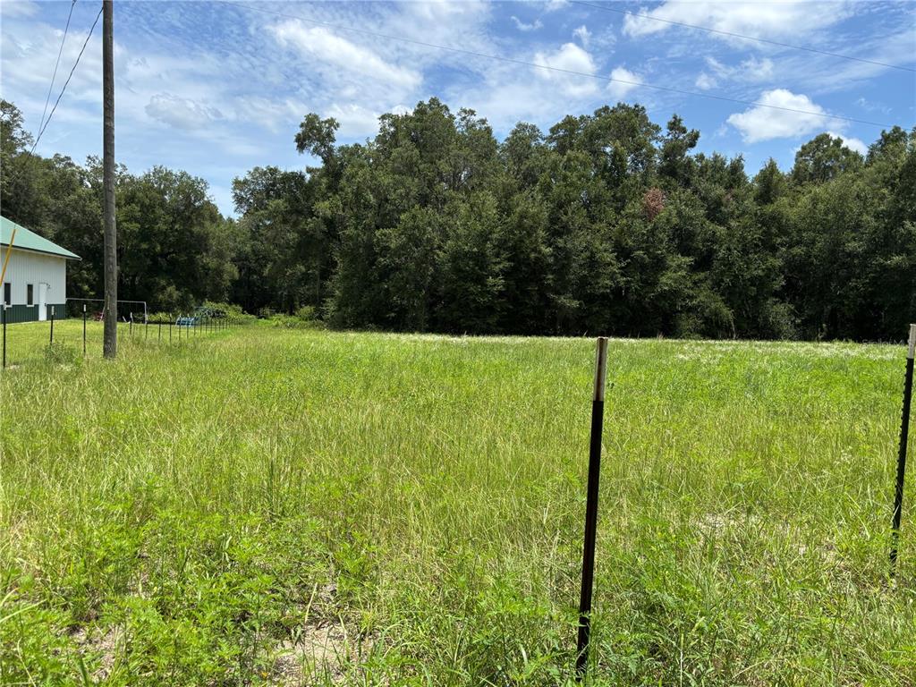 A grassy, fenced-in lot sits in front of a dense forest under a blue sky — NE 23, CITRA, FL