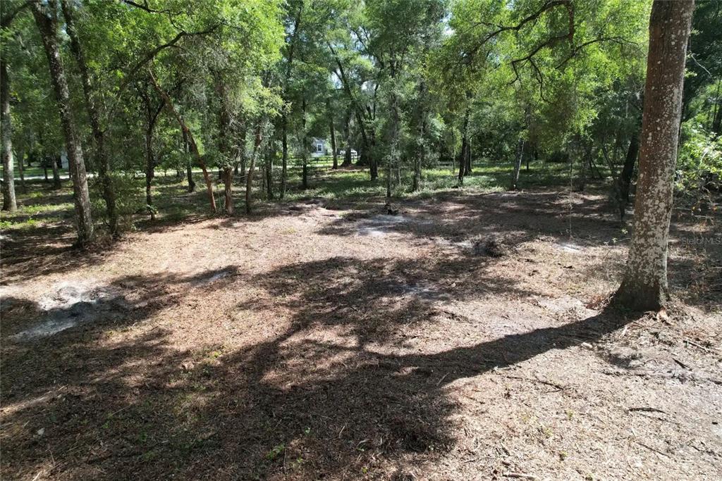 00 SE 30TH AVENUE, SUMMERFIELD, FL — photo 3 of 4