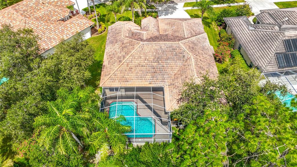 10221 GARDEN ALCOVE DRIVE, TAMPA, FL — photo 3 of 30