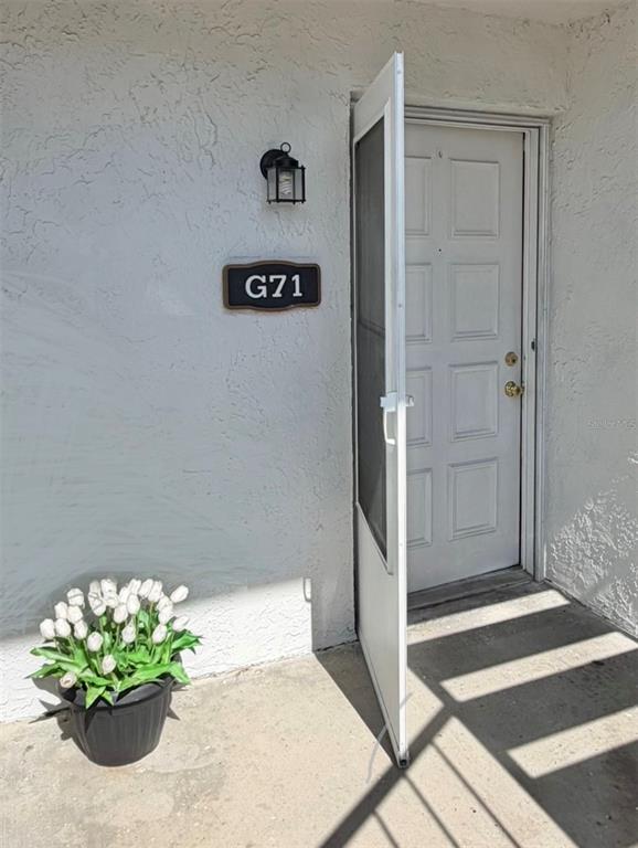 A white door with a glass storm door and a potted plant sits outside G71 — 3815 N OAK DRIVE UNIT G71, TAMPA, FL