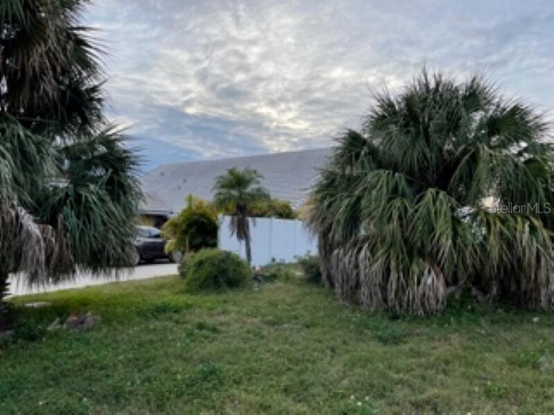 A view of a house exterior with palm trees and a white fence in the yard — 5008 ENSIGN LOOP, NEW PORT RICHEY, FL