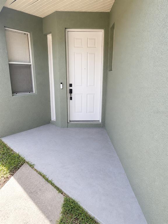 A white front door is centered on a sage green exterior wall with a concrete porch — 6210 KITERIDGE DRIVE, LITHIA, FL