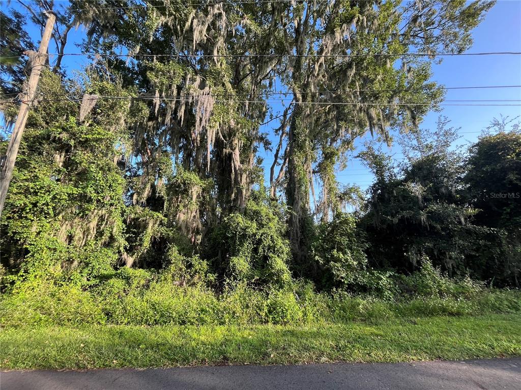 A dense, wooded lot features large trees draped with Spanish moss along a paved road — 262 TOMS ROAD, DEBARY, FL