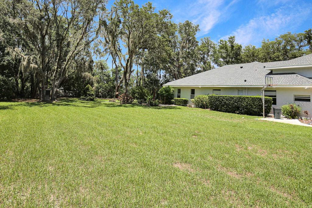 A large, grassy backyard features mature trees and the side view of a residential house — 6034 HAMMOCK HILL AVENUE, LITHIA, FL