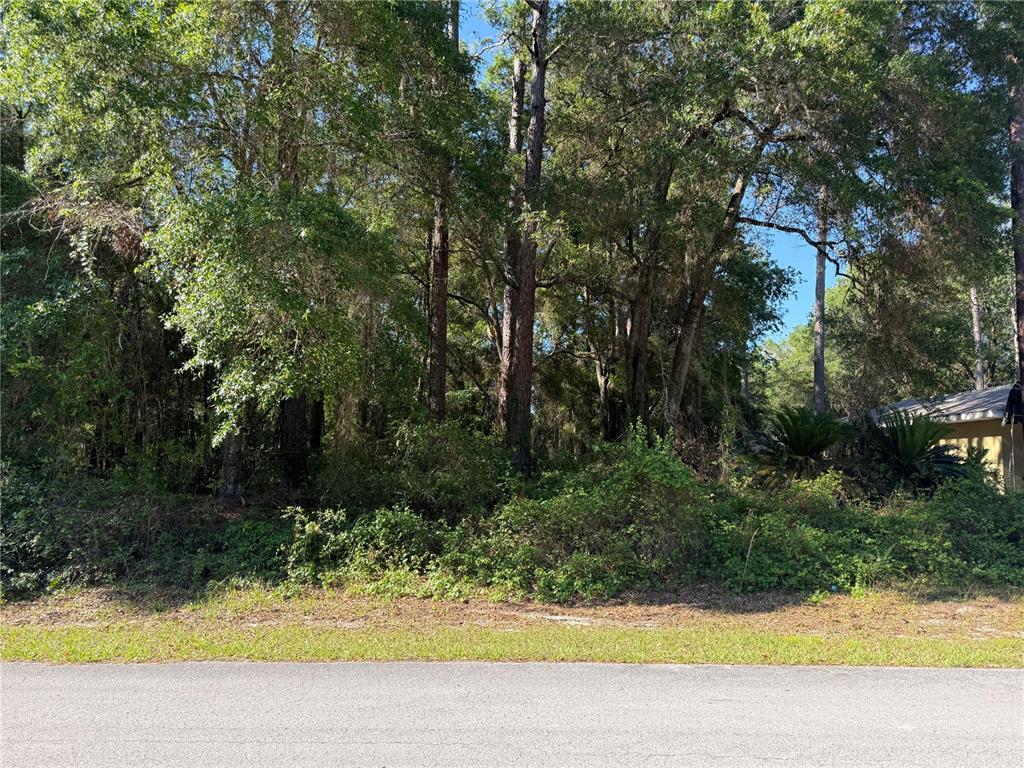 10927 N AIRWAY LOOP