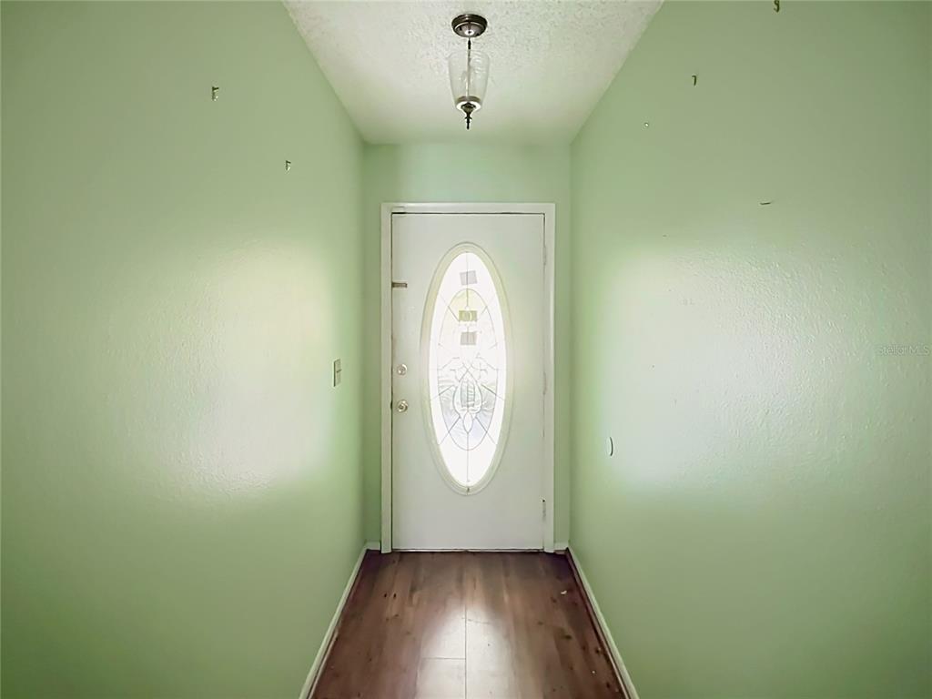 A narrow entryway features light green walls, a white front door with a glass insert, and wood-look flooring — 9320 SE MARICAMP ROAD, OCALA, FL