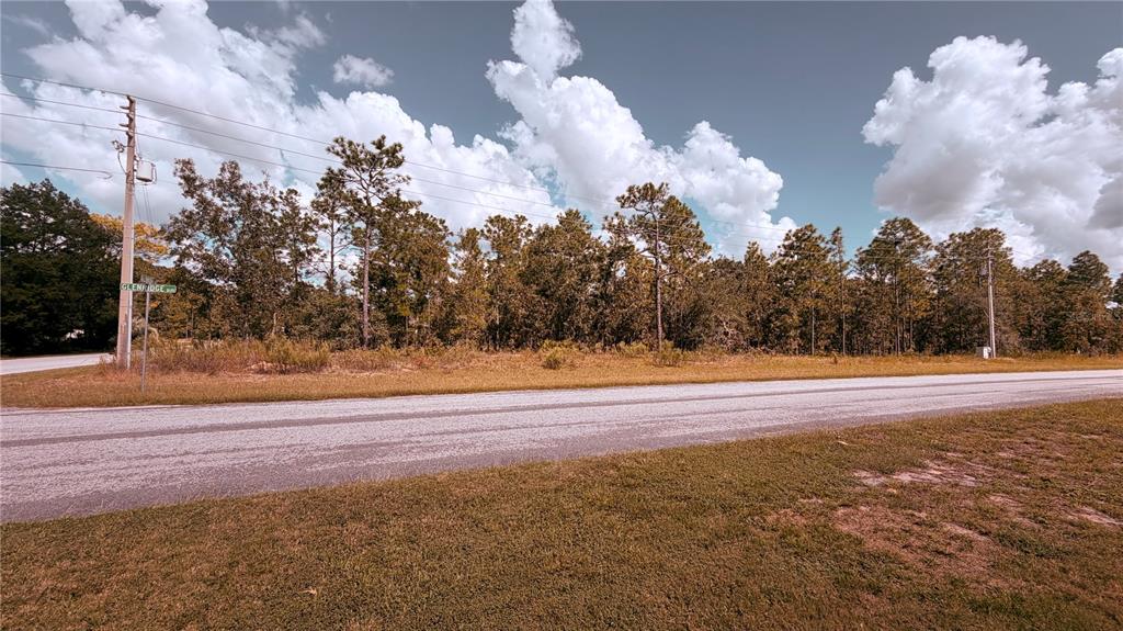 48 GLENRIDGE BOULEVARD, HOMOSASSA, FL — photo 5 of 5