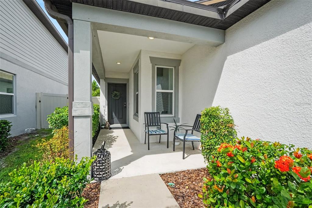 20873 DRAKE ELM DR, LAND O LAKES, FL — photo 5 of 30