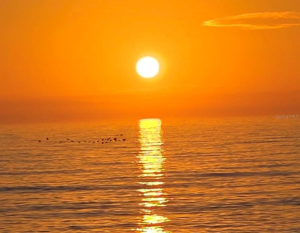 A bright orange sunset reflects over the ocean with a small flock of birds flying — 908 VILLAS DRIVE UNIT 23, VENICE, FL