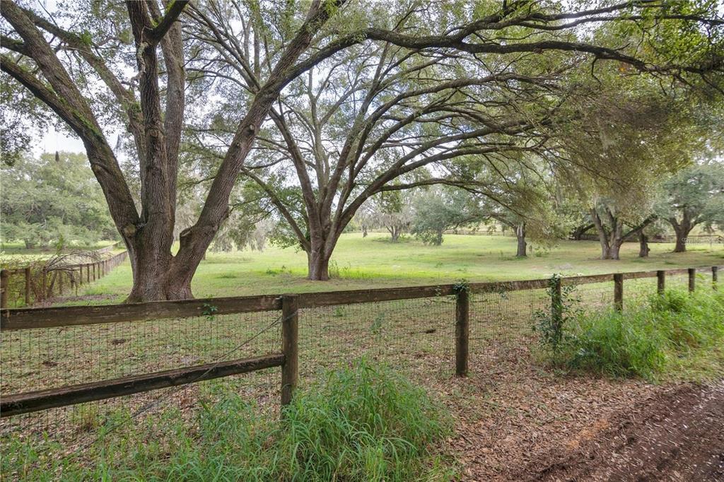 A wooden post-and-rail fence encloses a grassy pasture shaded by large, mature oak trees — MICRO RACETRACK ROAD, FRUITLAND PARK, FL