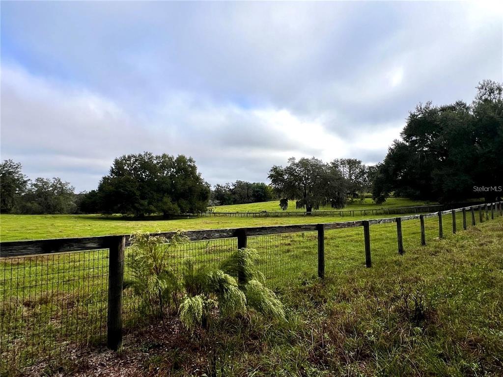 A wire fence runs along a grassy field with scattered trees under a cloudy sky — MICRO RACETRACK ROAD, FRUITLAND PARK, FL