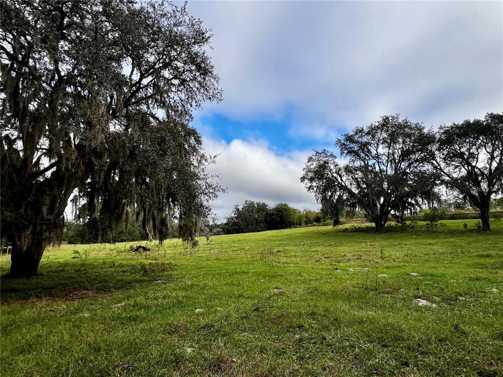 A grassy field with large, moss-draped oak trees under a partly cloudy sky — MICRO RACETRACK ROAD, FRUITLAND PARK, FL