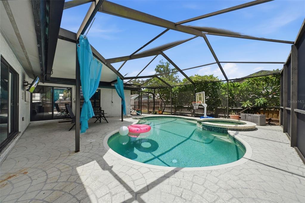 A screened-in patio features a swimming pool with an attached spa and a basketball hoop — 3916 BLOOMING HILL LANE, PALM HARBOR, FL