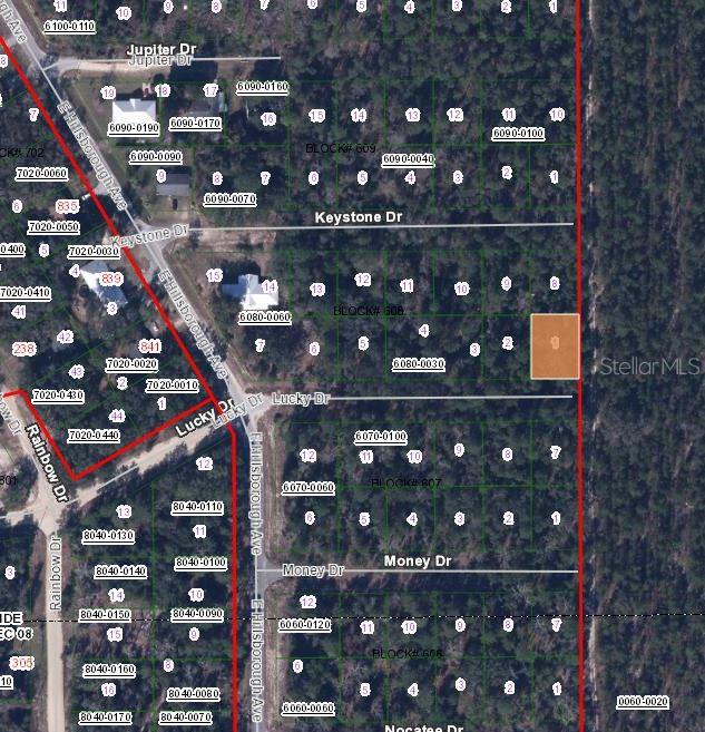 This is an aerial map showing residential lots and street layouts in a wooded area — 312 LUCKY DRIVE, FLORAHOME, FL