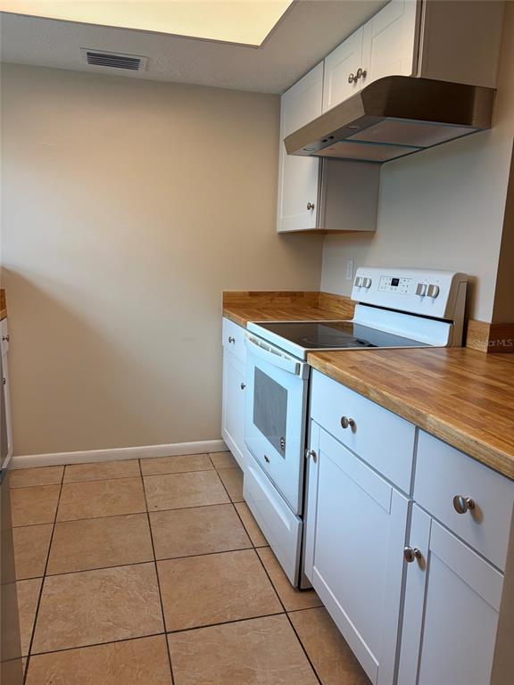 9523 FIELDVIEW CIRCLE UNIT 9523, THONOTOSASSA, FL — photo 4 of 14
