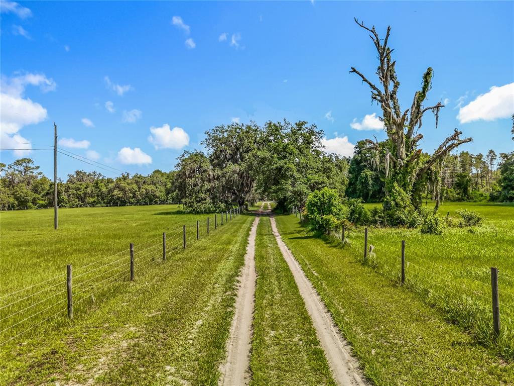 A dirt path leads through a grassy field toward trees under a blue sky — 41204 EMERALDA ISLAND ROAD, LEESBURG, FL