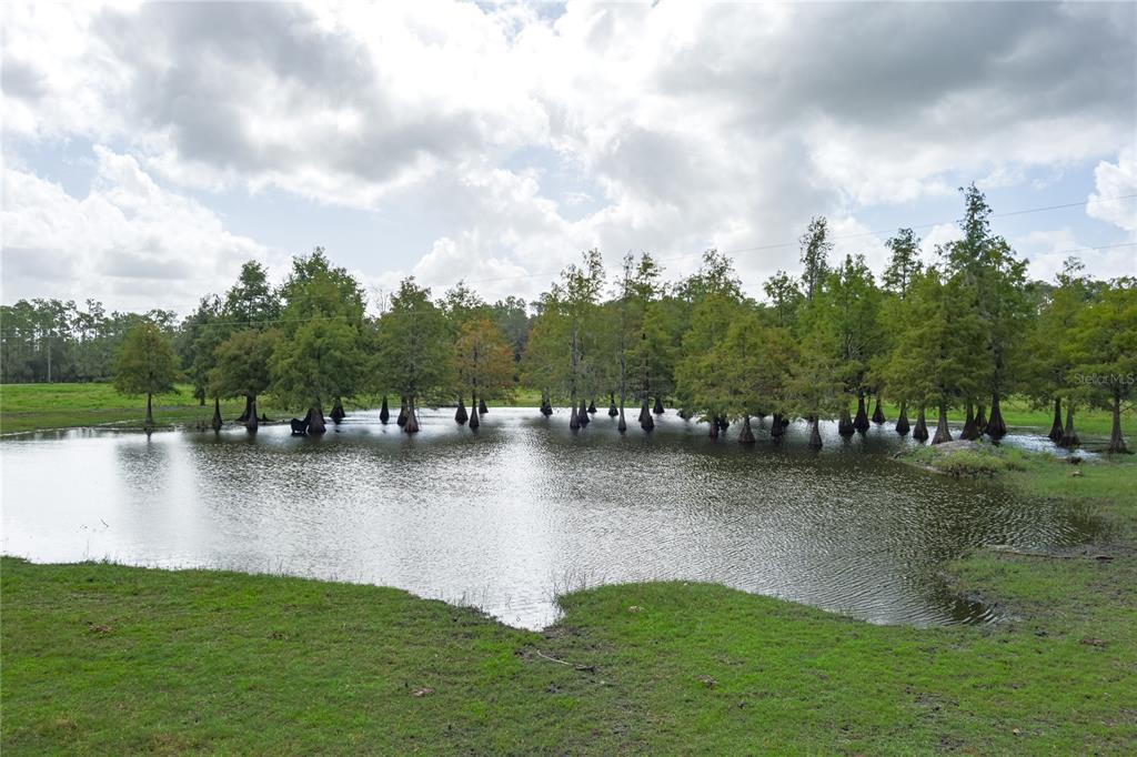 A gravel driveway leads through a wooden gate toward a red metal barn under trees — 1126 COUNTY ROAD 665, ONA, FL