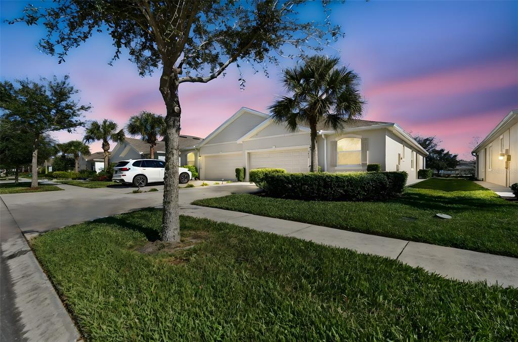 A single-story suburban house with a two-car garage, palm trees, and a manicured lawn — 7852 TIMBERVIEW LOOP, WESLEY CHAPEL, FL