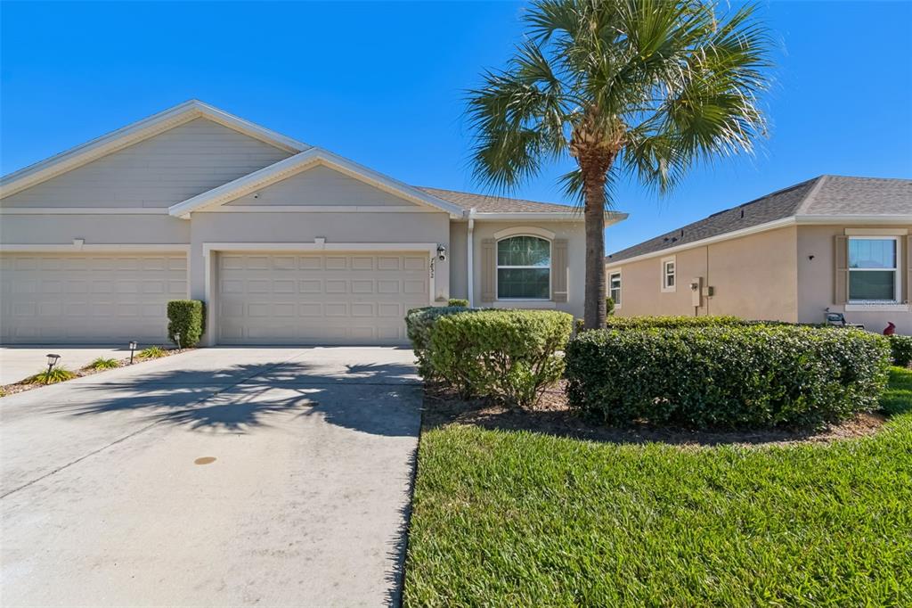 A beige single-story house with a two-car garage, palm tree, and manicured landscaping — 7852 TIMBERVIEW LOOP, WESLEY CHAPEL, FL