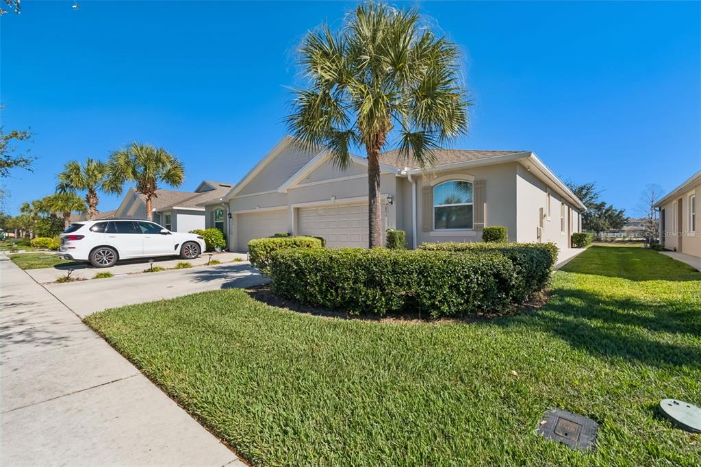 A single-story house with a two-car garage, a palm tree, and a manicured hedge — 7852 TIMBERVIEW LOOP, WESLEY CHAPEL, FL