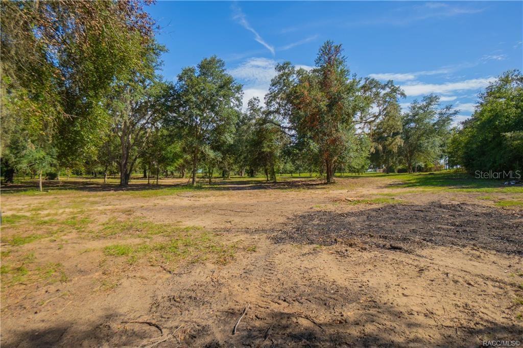 A large, cleared dirt lot features scattered trees under a clear blue sky — 8929 E FLORAL PARK DRIVE, FLORAL CITY, FL