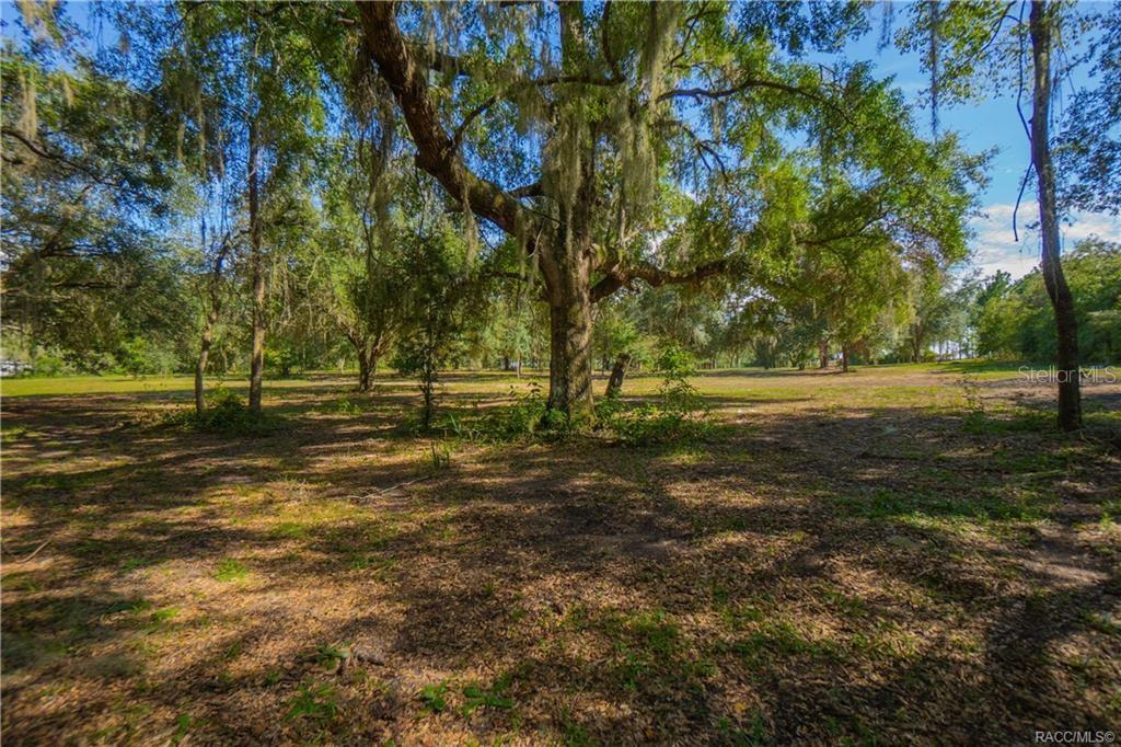 A large, moss-draped oak tree stands in the center of a grassy, wooded lot — 8929 E FLORAL PARK DRIVE, FLORAL CITY, FL