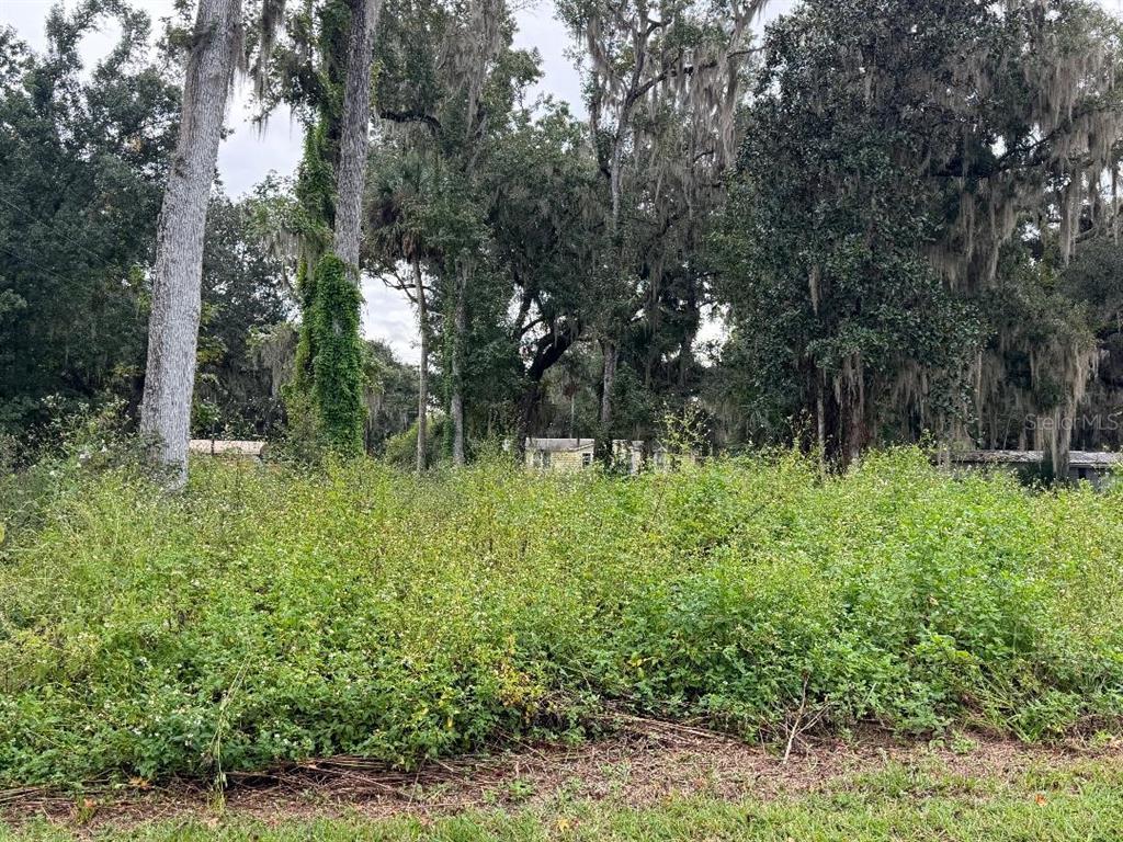 COUNTY ROAD 426E, LAKE PANASOFFKEE, FL — photo 2 of 5