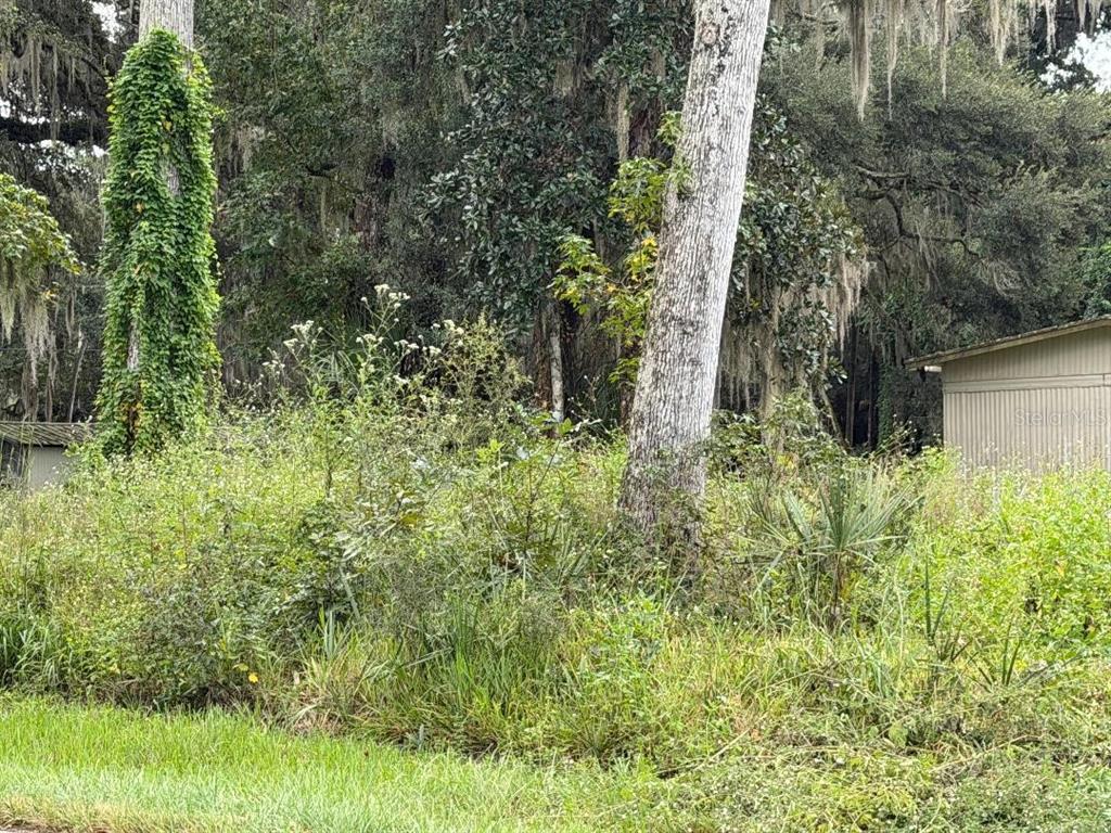 COUNTY ROAD 426E, LAKE PANASOFFKEE, FL — photo 3 of 5