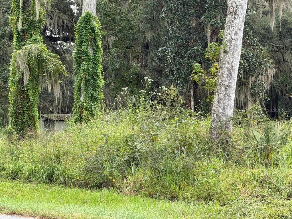 COUNTY ROAD 426E, LAKE PANASOFFKEE, FL — photo 4 of 5