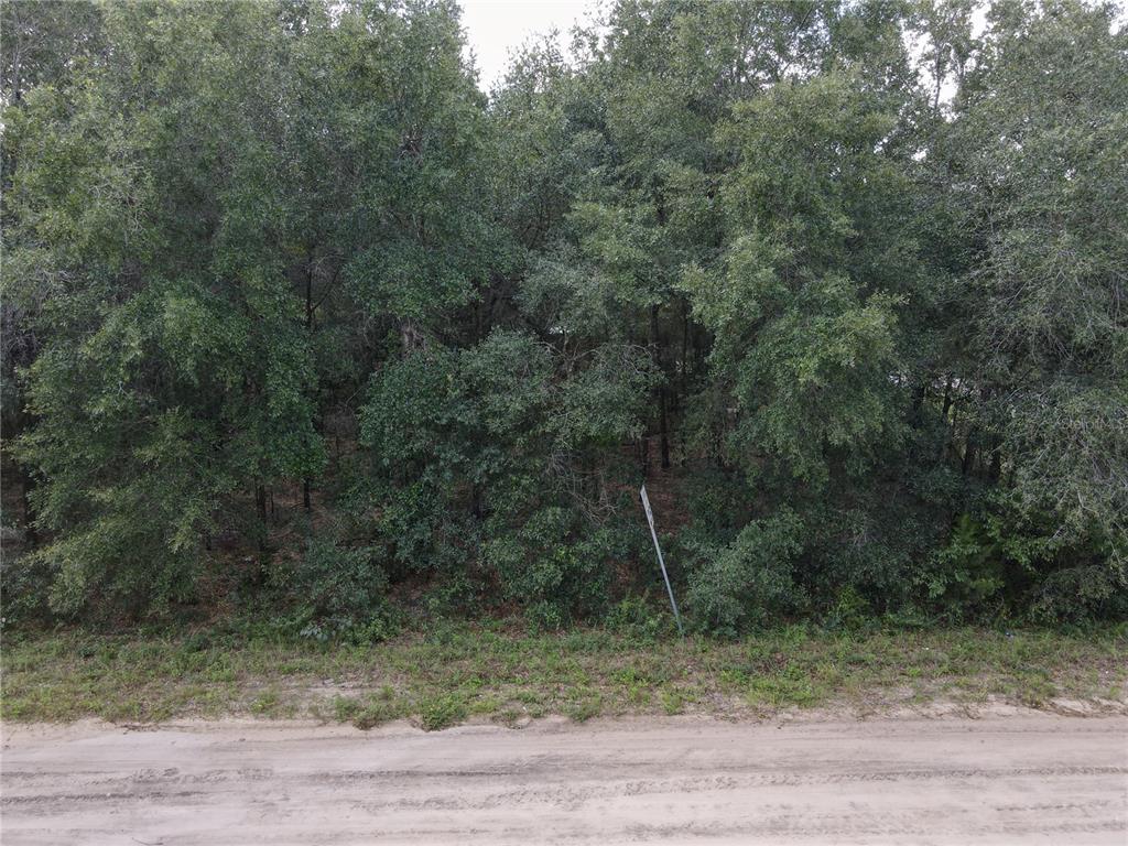 GUNNER AVE AVENUE, INTERLACHEN, FL — photo 5 of 30